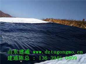 專業高效，品質信賴 探訪江西復合土工布工廠直銷與山東建通建材加工服務